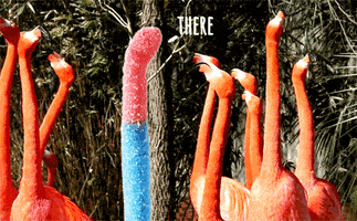 candy lol GIF by Trolli