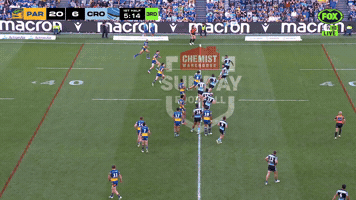 Cronulla Sharks GIF