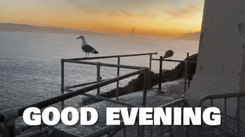 Bay Area Water GIF by Yevbel