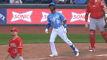Lets Go Sport GIF by Kansas City Royals