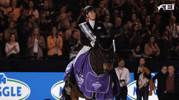 Fei World Cup Smile GIF by FEI Global