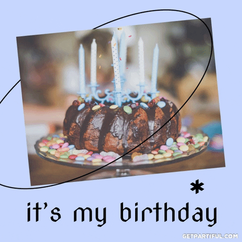 Party Its My Birthday GIF by Partiful