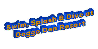 Splash Dive At Doggo Den Resort Sticker by DoggoDenJess