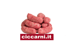 CICCARNI Sticker