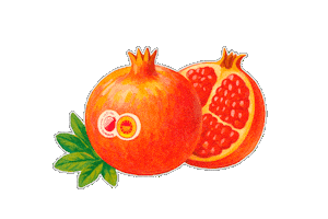 Sticker by DOP Granadas Mollar de Elche