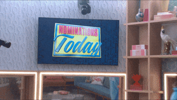 Nominations GIF by Big Brother