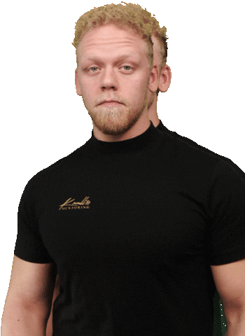 Krull Mentoring Sticker