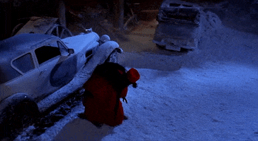 Fur GIF