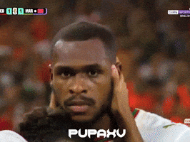 Atlas Lions Football GIF