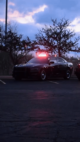 Dodge GIF