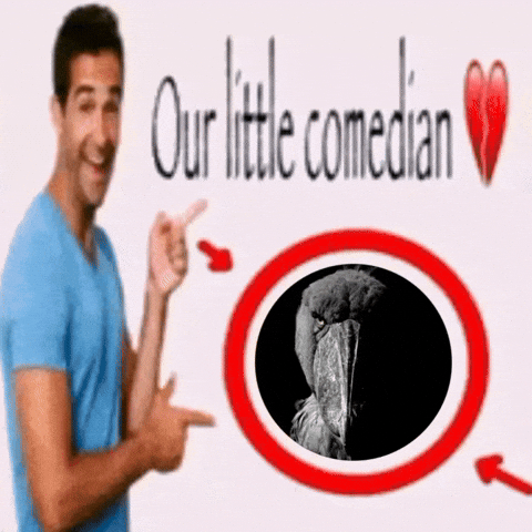 Comedian Cornball GIF
