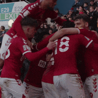 Chris Martin Celebration GIF by Bristol City FC