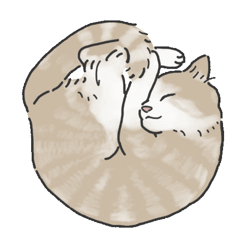 Cats Sleep Sticker by nune