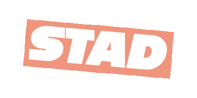 stadhaarlem Sticker