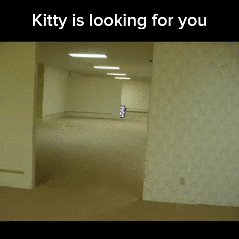Cat Kitty GIF