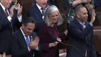 Opening Day House Democrats GIF by GIPHY News