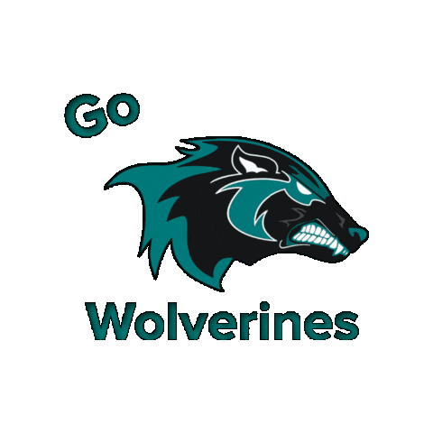 ANHS Football Sticker