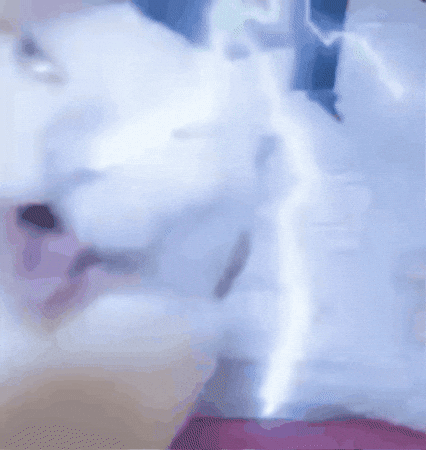 Shonv GIF