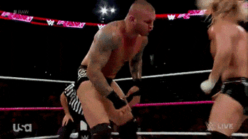 Randy Orton Wrestling GIF by WWE