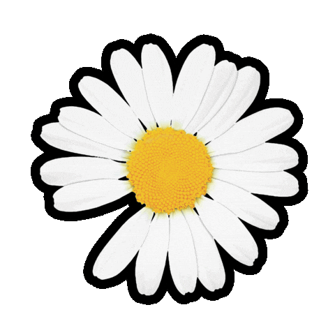 Gd 지드래곤 Sticker by Bangolufsenkr