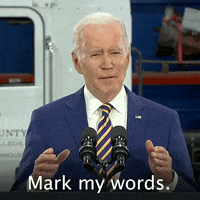 Listen Joe Biden GIF by The Democrats