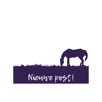 MoreThanRiding Sticker