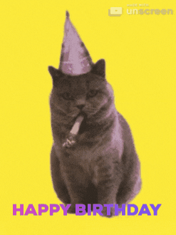 Happy Birthday Party GIF by Unscreen