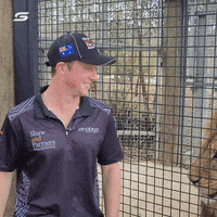 Scared Will Brown GIF by Supercars Championship