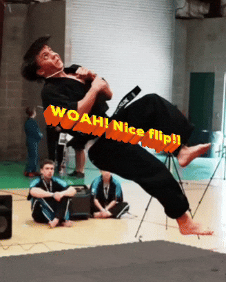 Nice Flip GIF