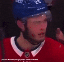 Nhl Canadiens GIF