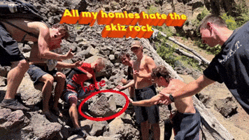 Davidbarnez GIF