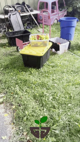 Clean GIF