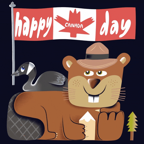Illustrated gif. Beaver laying down with a ranger hat on his head, a sharpened piece of wood in his hand that it lifts up to its mouth, and a Canadian goose on its back. Fireworks in the shape of hearts, moose, and leaves light up the sky. Above the beaver is a Canadian flag waving in the air. Written on the flag is “Happy Canada Day.”