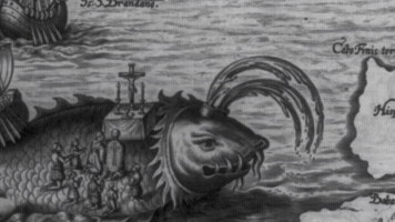 Longislandwhale GIF