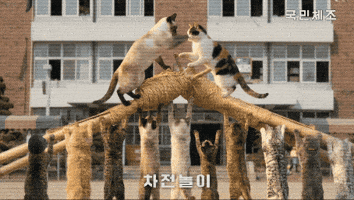 국민체조 GIF