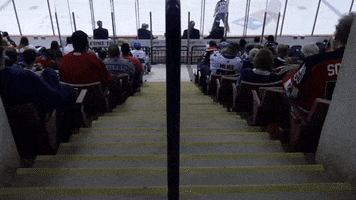 Face Off Hockey GIF by SCStingrays