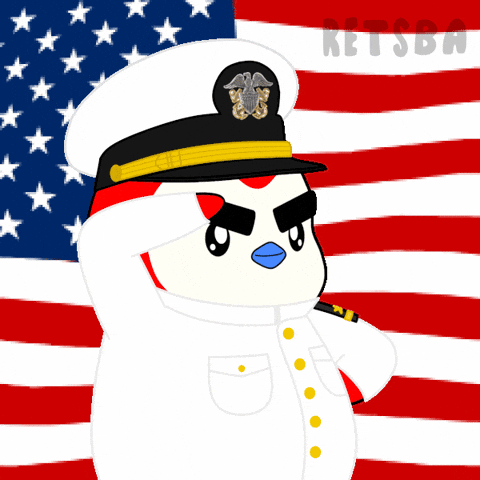 United States Usa GIF by Retsba