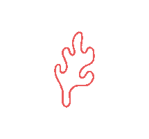 Coral Studio Sticker