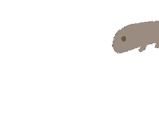 Jump 動物 Sticker For Ios Android Giphy