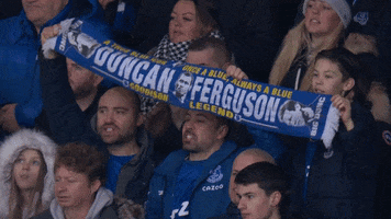 Premier League Soccer GIF by Everton Football Club