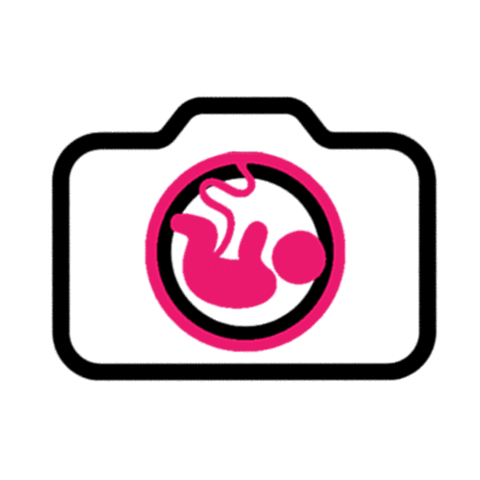 De Geboortefotograaf Sticker