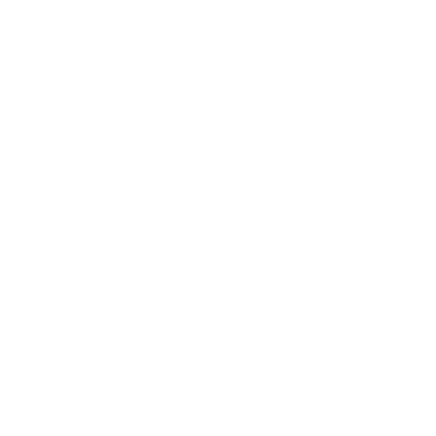 Capristo Automotive Sticker