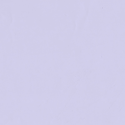 Javier Rodriguez GIF