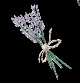 Mitsukoandco giphygifmaker halloween flower lavender GIF
