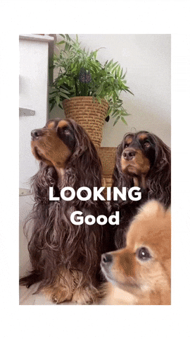 Looking Good I Like It GIF