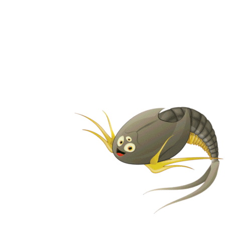 Triops King Sticker