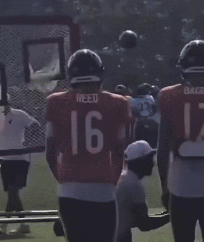 Green Bay Packers Bears GIF