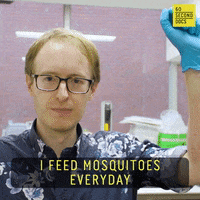 Bug Bite GIF by 60 Second Docs
