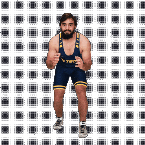 Wrestling Sticker by WVU Tech Golden Bears