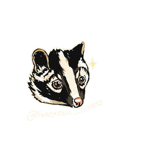 Animated Sticker